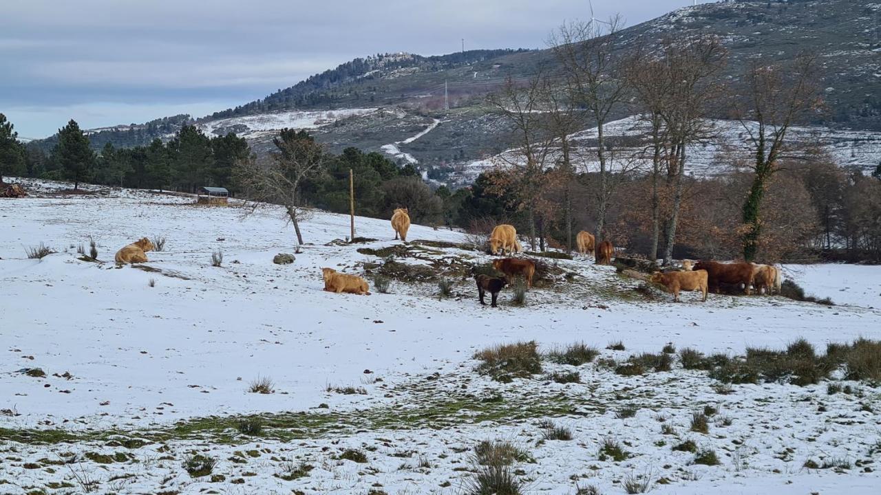 Quinta De Santo Estevao Hotel Rural Агиар-да-Бейра Экстерьер фото